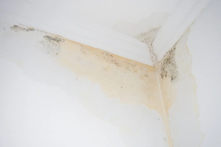 Roof Leak Repair Options For Water Damage Control in Richmond, VA Roof Leak Repair Options For Water Damage Control in Richmond, VA