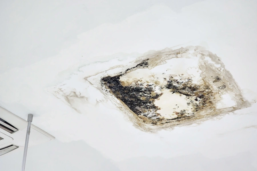 Signs You Need Professional Roof Leak Repair Richmond, VA Signs You Need Professional Roof Leak Repair Richmond, VA